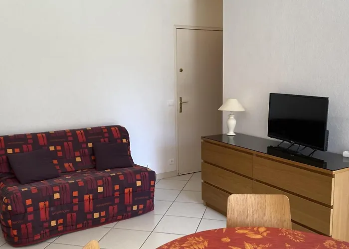 : Rez-de-jardin Proche Plage, Animaux Acceptés, Tv, Wi-fi Optionnel - Fr-1-487-331