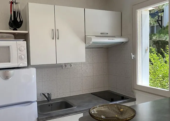 Apartamento : Rez-de-jardin Proche Plage, Animaux Acceptes, Tv, Wi-fi Optionnel - Fr-1-487-331 *